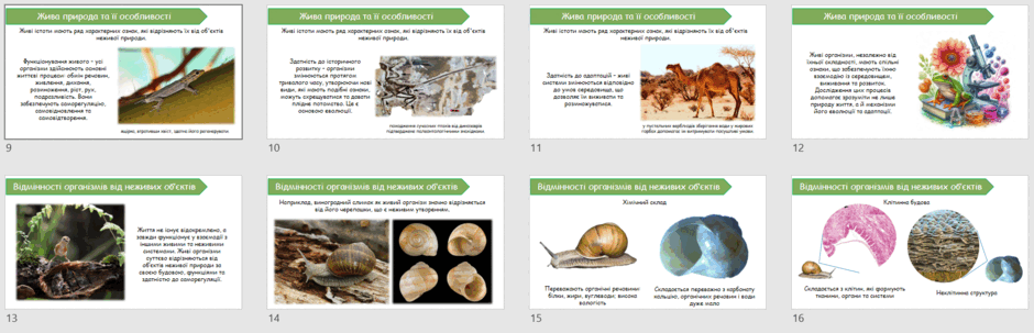 08006heu-c0f2-940x303.png
