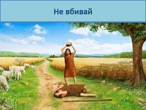 08006hs3-90f0-480x360.png