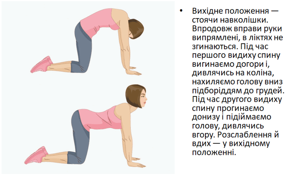 08006j6w-de56-938x574.png