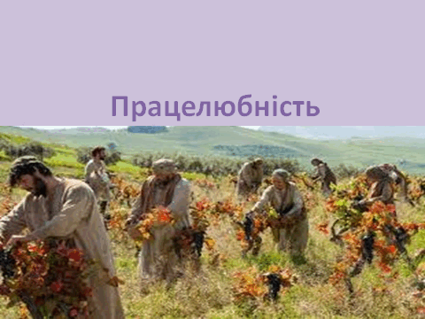 08006khd-4050-480x360.png