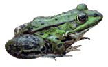 08006m0r-04e7-157x98.png