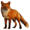 08006m1j-3309-122x122.png