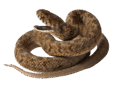 08006m3j-8c47-113x87.png