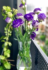 08006moi-3d7e-262x385.jpg