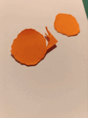 08006p6v-7324-173x230.png