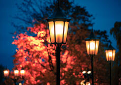 08006pb4-795f-238x167.jpg