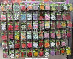 08006s1j-7f8d-251x201.jpg