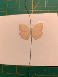 08006sfa-731d-197x262.png