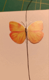 08006sfk-d210-162x263.png