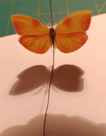 08006sfs-2006-207x266.png