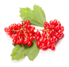 08006u35-b12e-242x233.png