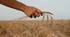 Mechanization. Combine — harvesters