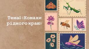 Комахи рідного краю
