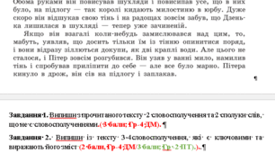 Діагностувальна робота 5 клас. НУШ. Група результатів 4-ДМ. Синтаксис і пунктуація.Групa  результатів 2 (ПТ):  Читання та аналіз тексту.