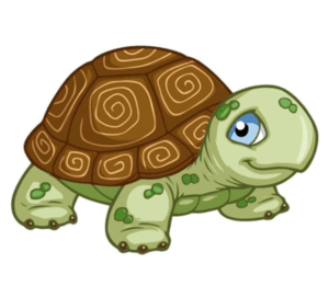 08006zrf-3952-397x346.png