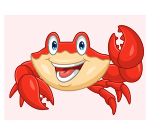 08006ztn-d34f-307x272.png