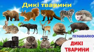 Конспект інтегрованого заняття  на тему: «Дикі  тварини»