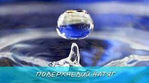 Властивості рідин. Тверді тіла. 