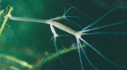 080073m7-94ae-185x102.png