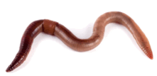 080074of-6bde-221x107.png