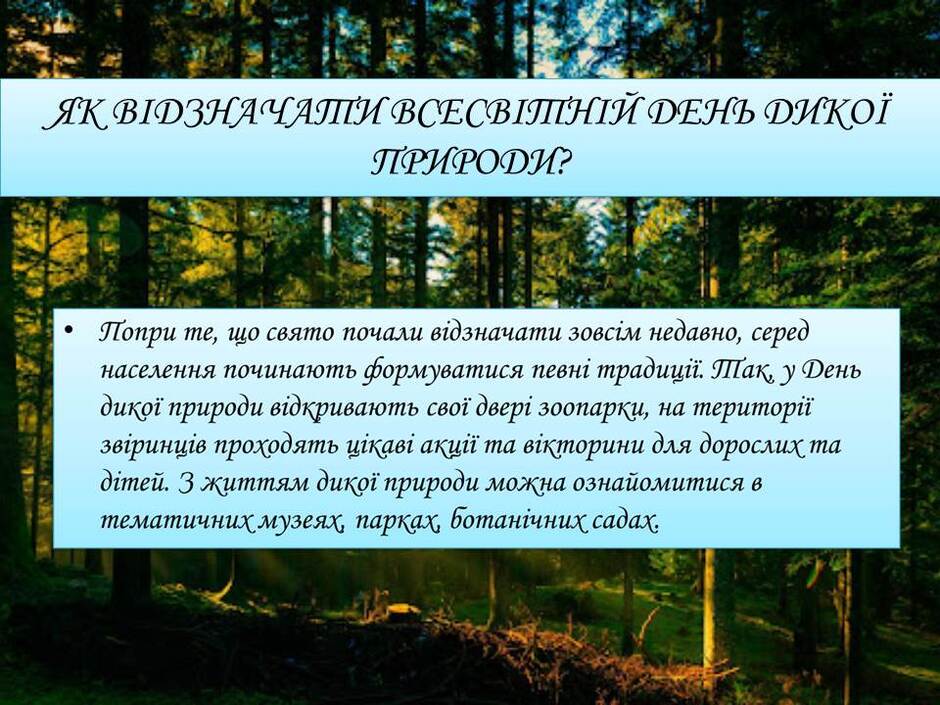 080074w3-4e5e-940x705.jpg