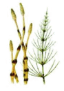 08007593-cb2b-93x132.png