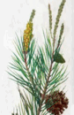 080075a2-c7ac-84x130.png