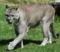 08007690-d74b-192x169.png