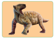 080077hh-c999-188x132.png