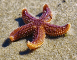 0800781k-d46e-156x122.png
