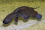 080078c3-f651-192x128.jpg