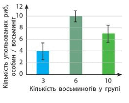 080078xc-0a7a-263x211.png