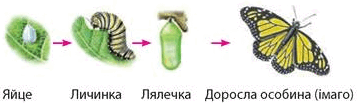 0800798u-d9ff-358x103.png