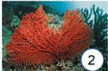080079mt-43f4-115x76.png