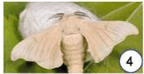 080079ni-2884-144x74.png