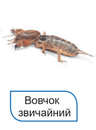 080079xr-05d0-193x259.png