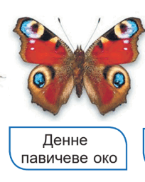 08007a7k-eff5-204x256.png