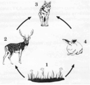 08007a9z-7612-178x168.png