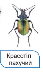 08007adx-b8d0-153x254.png