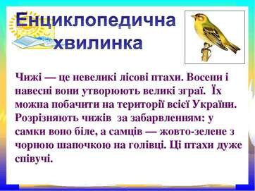 08007ck9-2a2d-362x271.jpg