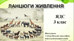 Опорний конспект уроку Ланцюги живлення