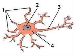 08007ehx-2981-246x186.jpg