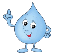 08007ezs-77a8-294x263.png