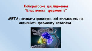 Лабораторне дослідження “Властивості ферментів”