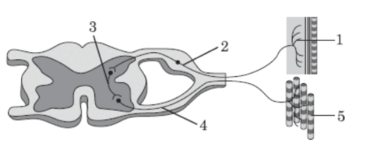 08007htb-325e-529x231.png