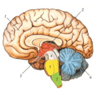 08007i83-0178-407x390.png