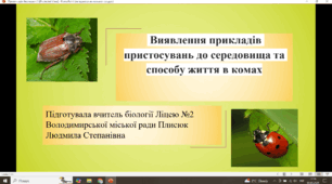 Практична робота. Виявленні прикладів пристосувань до середовища та способу життя комах