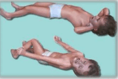 08007nj8-2eef-244x163.png