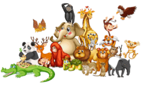 08007w33-806e-501x306.png