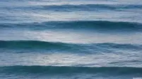 08007wz3-2fe8-201x113.webp